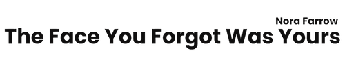 The Face You Forgot Was Yours by Nora Farrow